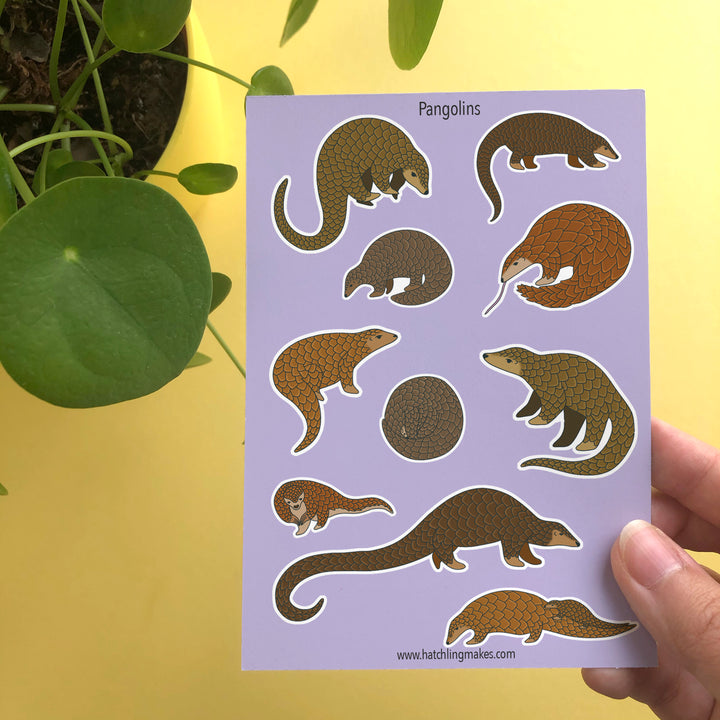 NEW IN : Pangolin Stickers