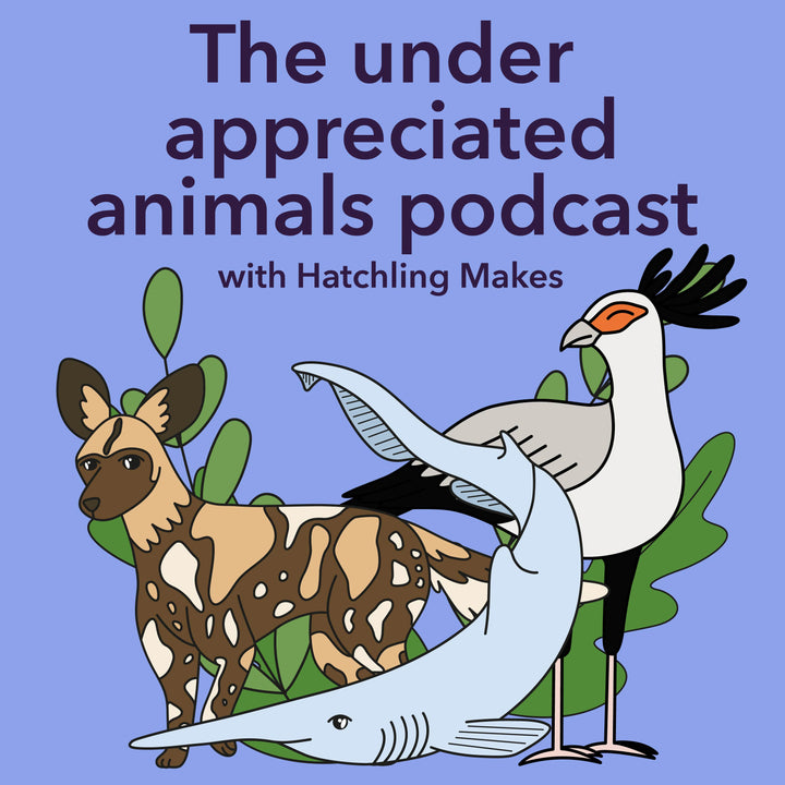 Introducing - The under appreciated animals podcast