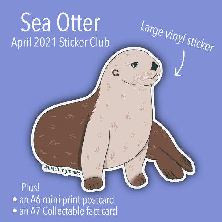 Sticker Club Animal Reveal: Sea Otter