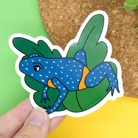 Galaxy Frog Vinyl Sticker