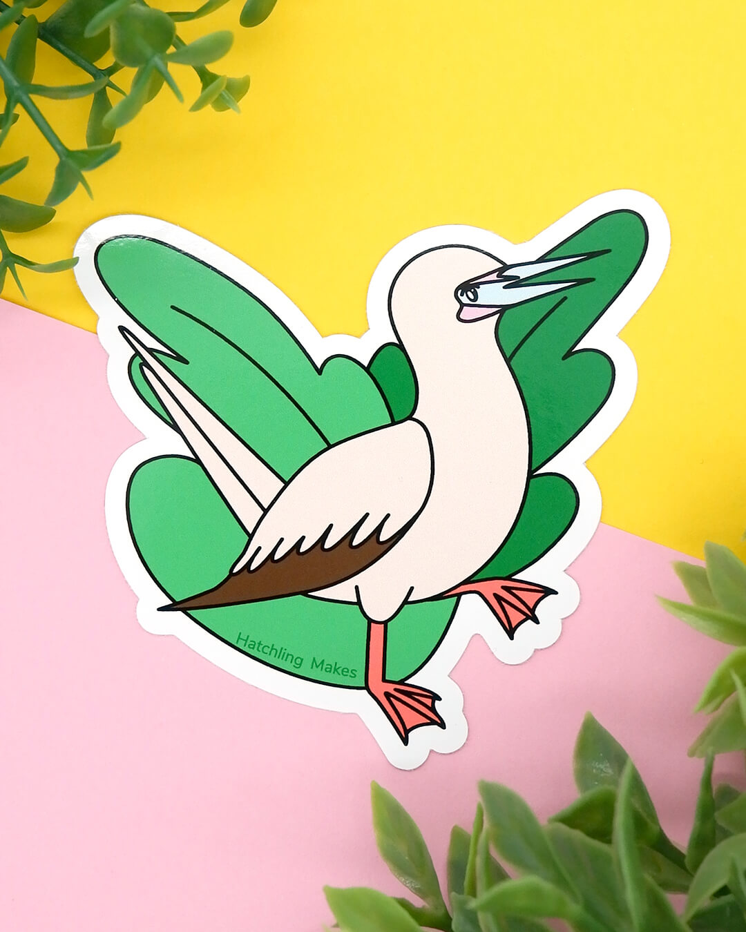 Red Footed Booby Vinyl Sticker