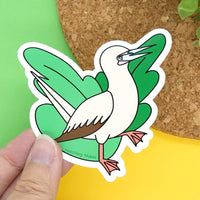 Red Footed Booby Vinyl Sticker