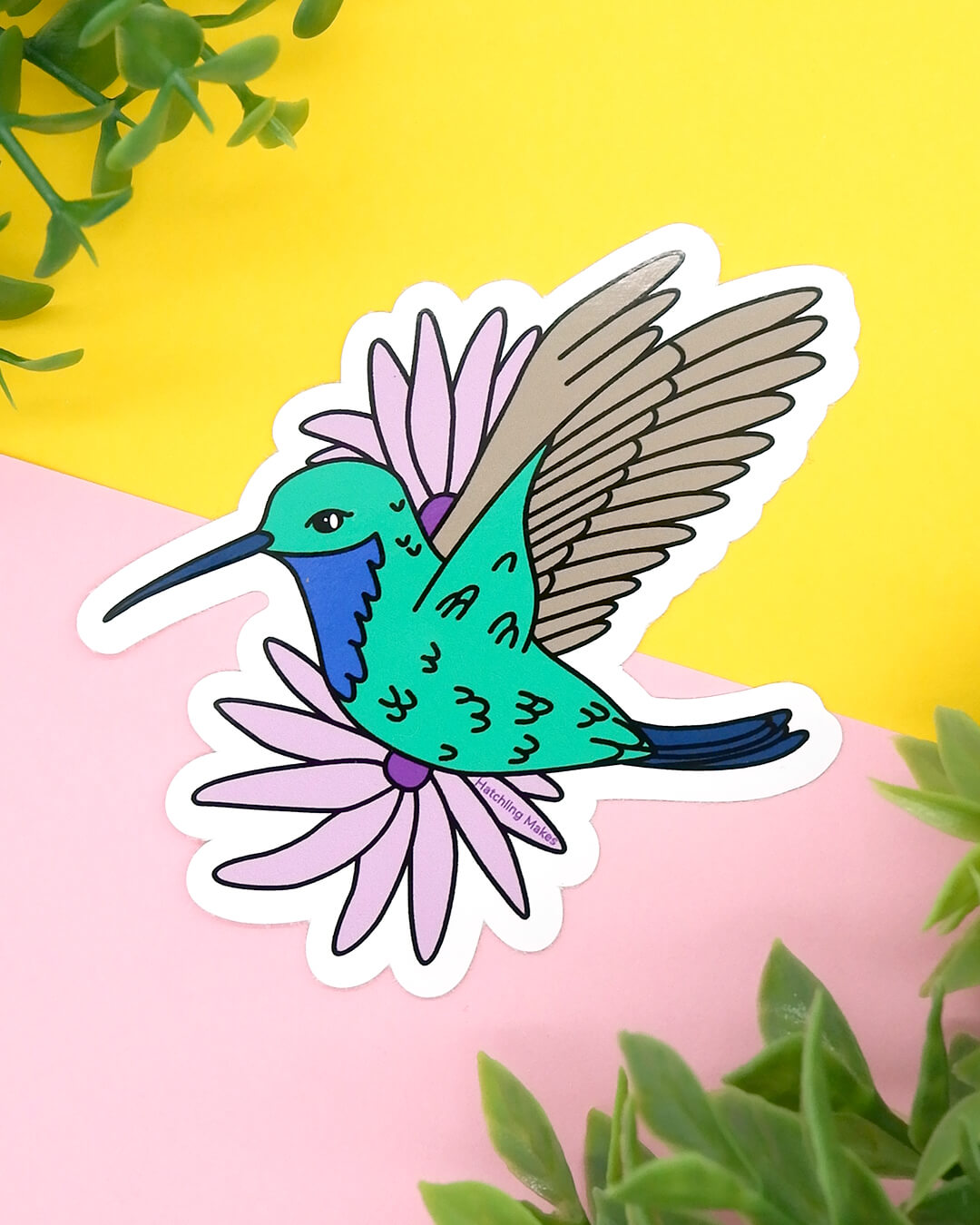 Santa Marta Sabrewing Hummingbird Vinyl Sticker