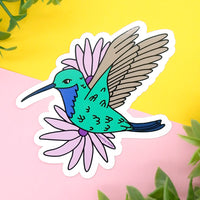 Santa Marta Sabrewing Hummingbird Vinyl Sticker