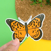 Australian Fritillary Butterfly Vinyl Sticker