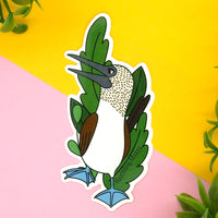 Blue Footed Booby Bird Vinyl Sticker