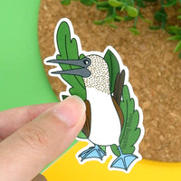 Blue Footed Booby Bird Vinyl Sticker