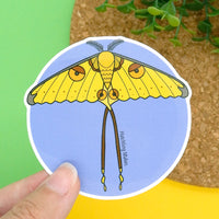 Comet Moth Vinyl Sticker