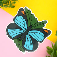 Dodd's Azure Butterfly Vinyl Sticker