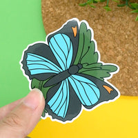 Dodd's Azure Butterfly Vinyl Sticker