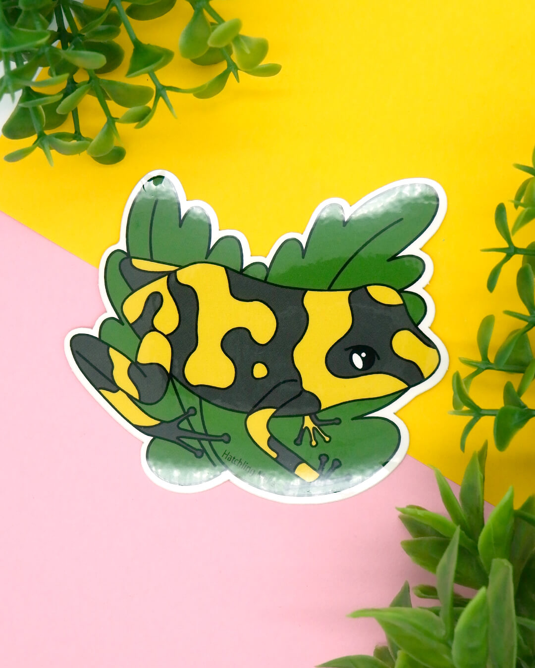 Harlequin Frog Vinyl Sticker