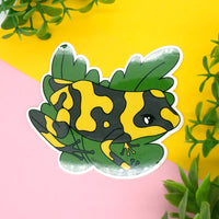 Harlequin Frog Vinyl Sticker