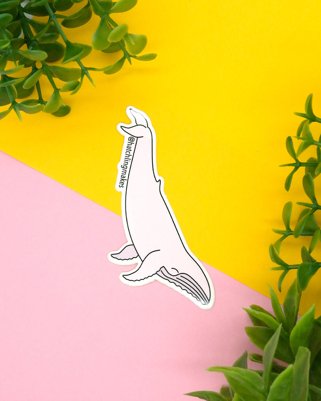 Migaloo - white humpback whale vinyl sticker