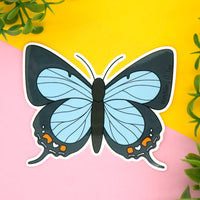 Pale Imperial Hairstreak Butterfly Vinyl Sticker