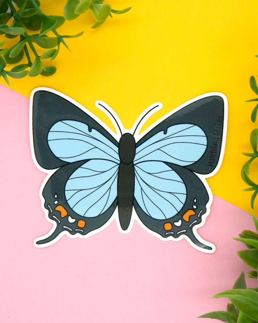 Pale Imperial Hairstreak Butterfly Vinyl Sticker