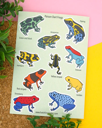 Poison Dart Frogs A6 Sticker Sheet